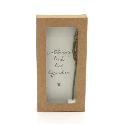 Little box droogbloemen: "Wat ben jij leuk lief bijzonder"
