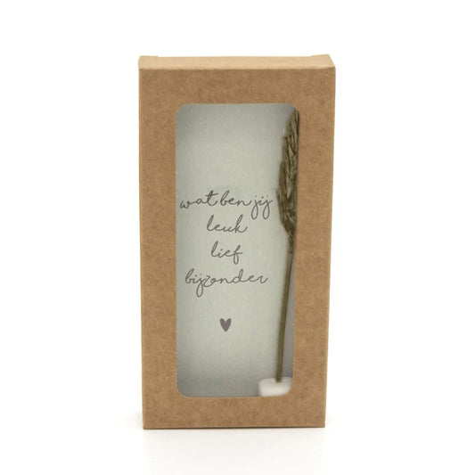 Little box droogbloemen: "Wat ben jij leuk lief bijzonder"