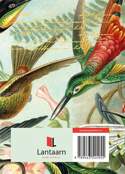 Reisdagboek: Birds