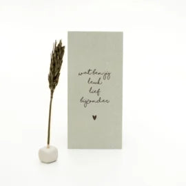 Little box droogbloemen: "Wat ben jij leuk lief bijzonder"