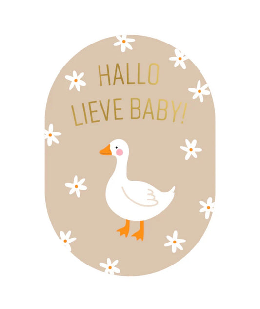 Kaart: Hallo lieve baby