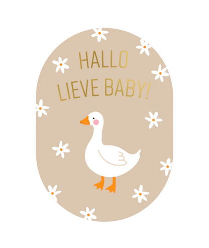 Brievenbuspakket Hallo, lieve baby