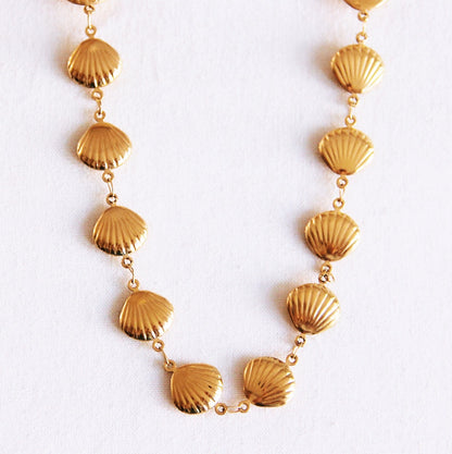 Schelpen ketting