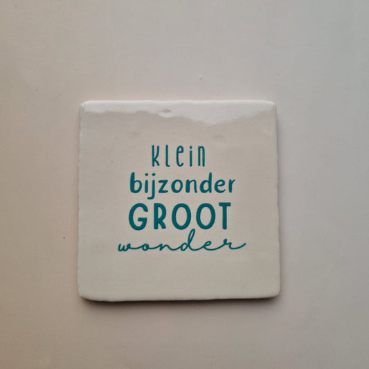 Tegel: Klein bijzonder groot wonder