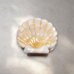 Haarklemmentje schelp