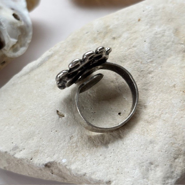 Ring Evi
