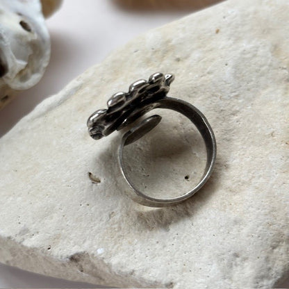 Ring Evi