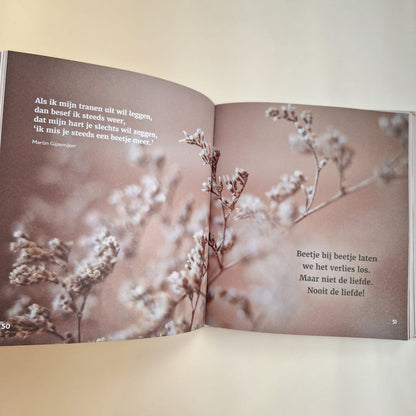 Boek: Troost